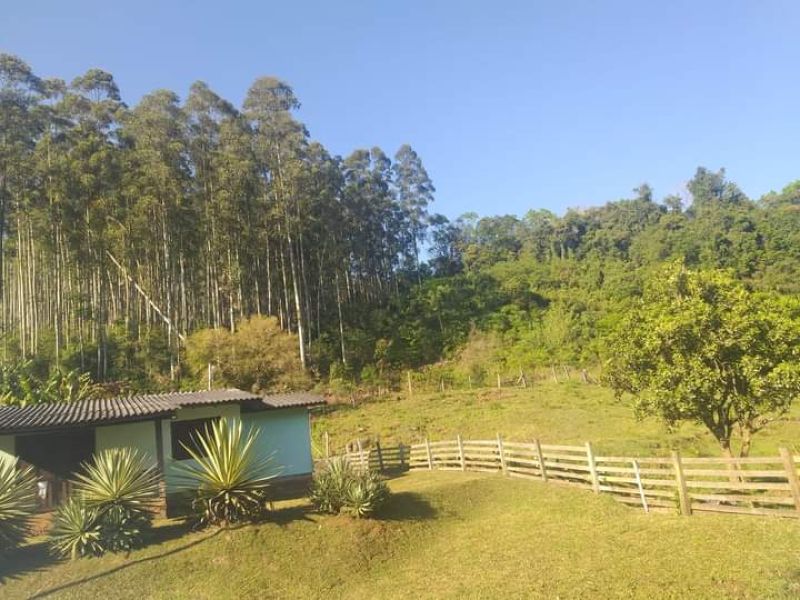 Chácara em Rolante no bairro Colônia Monge