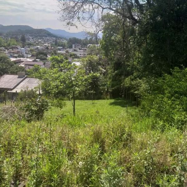 Terreno em Rolante no bairro Centro