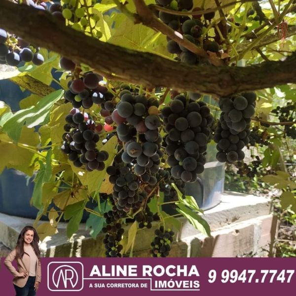 Chácara em Rolante no bairro Canta Galo