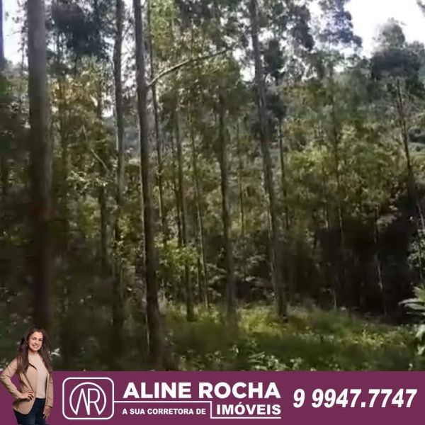 Terreno em Rolante no bairro Colônia Monge