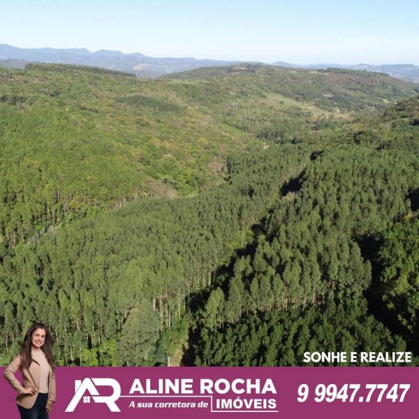 Terreno em Rolante no bairro Morro da Glória